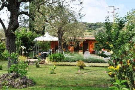 Butterfly House Bed & Breakfast