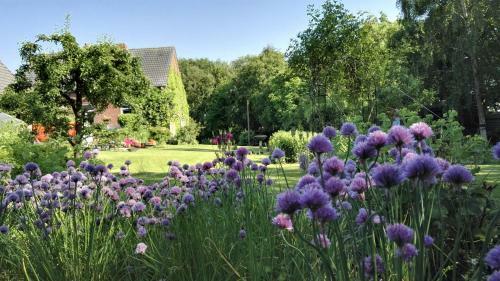 Apartamento Romantischer Winkel