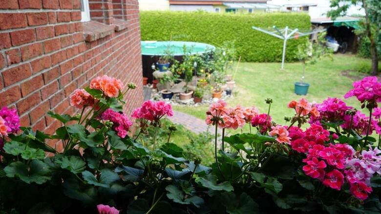 Apartamento Pension Limone Ferienwohnung 2