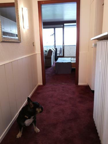Apartamento Ferienwohnung Direkt Am Steinhuder Meer