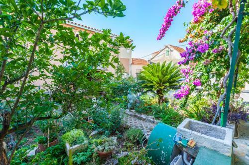 Hostal Green Garden Rooms & Apartments