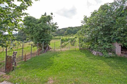 Apartamento Ferienwohnungen Anneliese