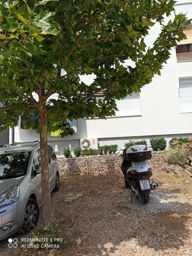 Apartman Robertino 1966
