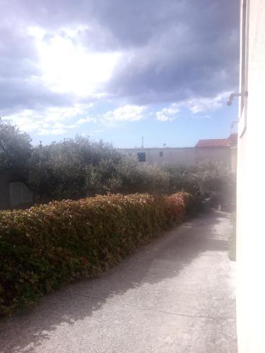 Apartman Robertino 1966