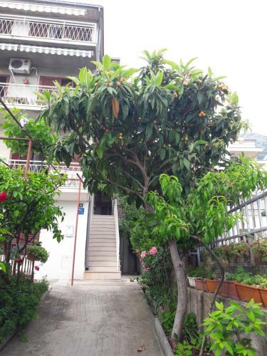 Apartman Adriatic Pavlinovic - Makarska