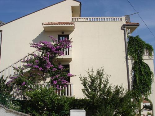 Apartments Branka
