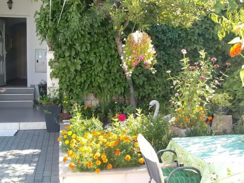 Apartments Centar - Mirjana