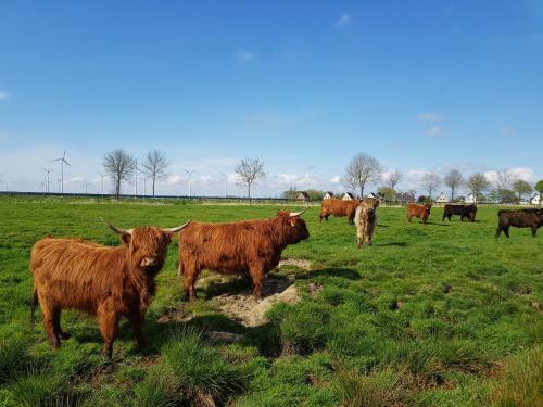 Apartamento Biolandhof Dorn Highlander Vom Elbdeich