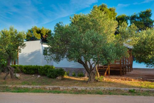 Hotel Mobile Home Pirovac 30