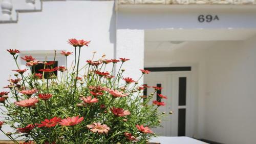 Four Bedrooms Villa Anita