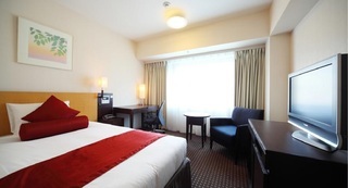 Hotel Ana Crowne Plaza Narita