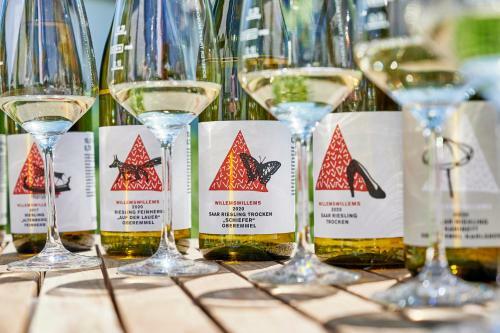 Apartamento Ferienweingut Willems