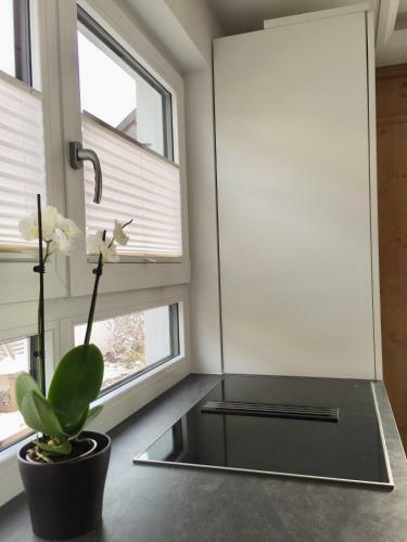 Apartamento Ferienhaus Mirabell