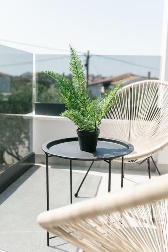 Apartmani Toma