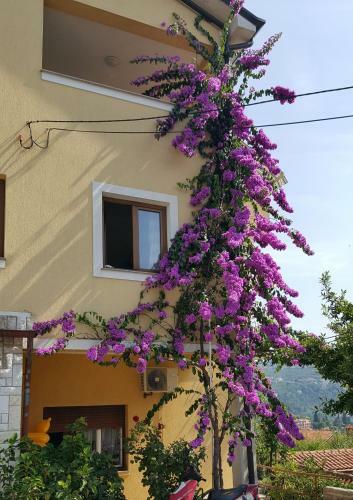 Apartamentos Apatmani Milena