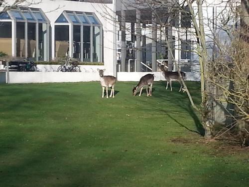 Apartamento Ferienwohnung-28