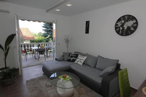 Apartment Cerovi?