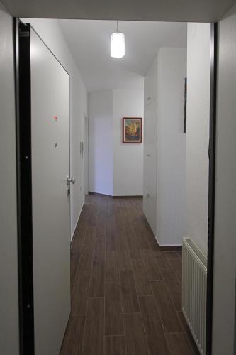 Apartment Cerovi?