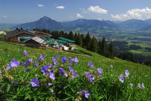 Apartamento Ferienwohnungen Alpentraum - Pusteblume
