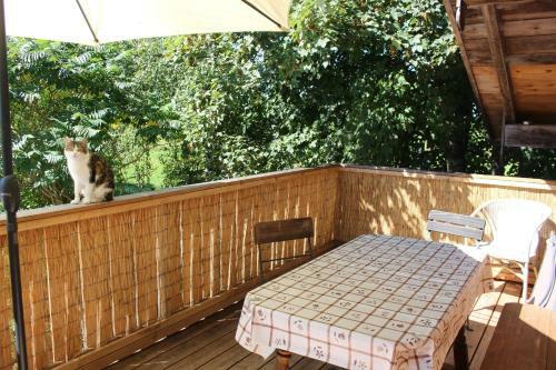 Apartamento Spring-hof