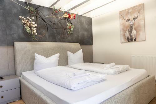 Apartamento Sope Skylodge 06 - Elgit's Bergblick - Oberried, Schauinsland