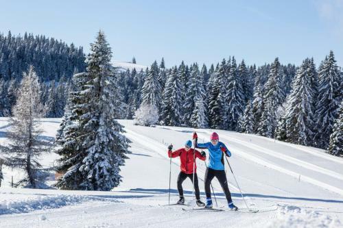 Apartamento Sope Skylodge 06 - Elgit's Bergblick - Oberried, Schauinsland