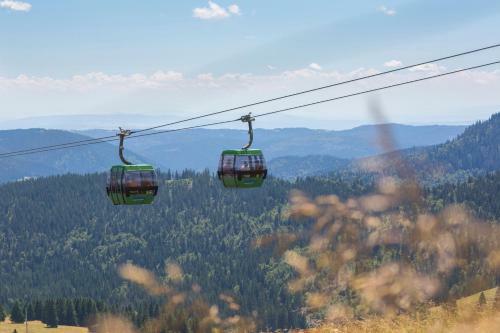Apartamento Sope Skylodge 06 - Elgit's Bergblick - Oberried, Schauinsland