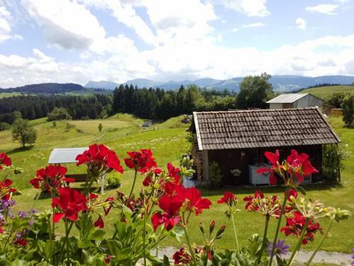 Apartamentos Ferienwohnung Hane