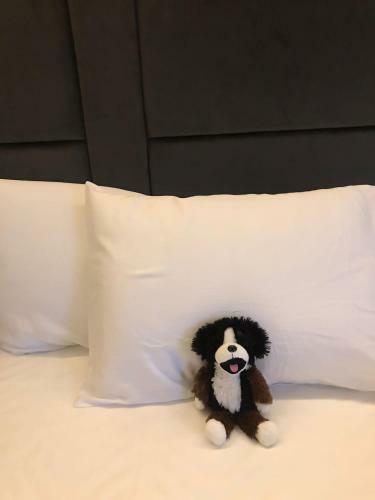O&o Hotel Oberursel Zentrum
