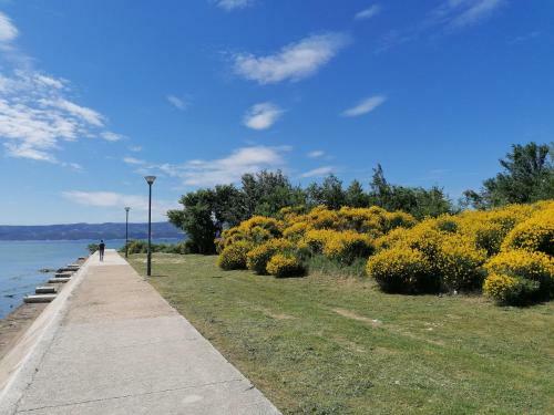 Apartamento Omi? Cetina