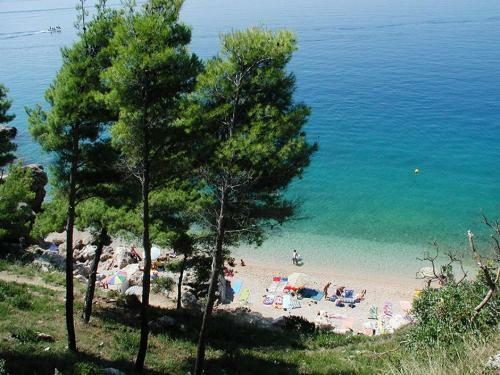 Hotel Beach Resort Mala Luka