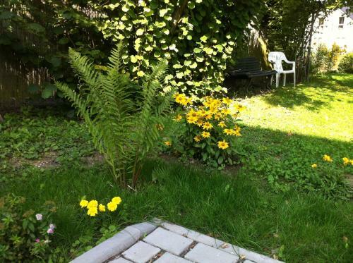 Apartamento Ferienwohnungen Haus Sauer