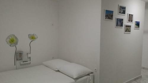 Solaria Apartments