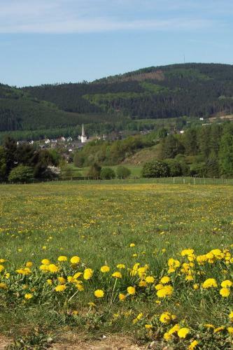 Apartamento Ferienwohnungen Sauerland Und Olsberg
