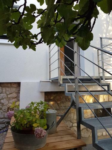 Apartamentos Villa Ane