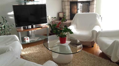Apartment Bojana