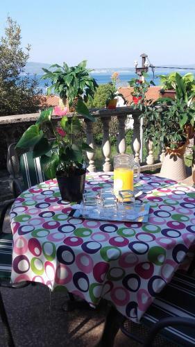 Apartment Bojana