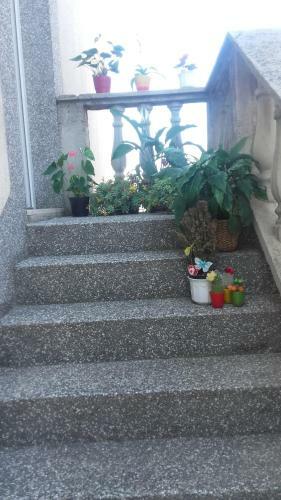 Apartment Bojana