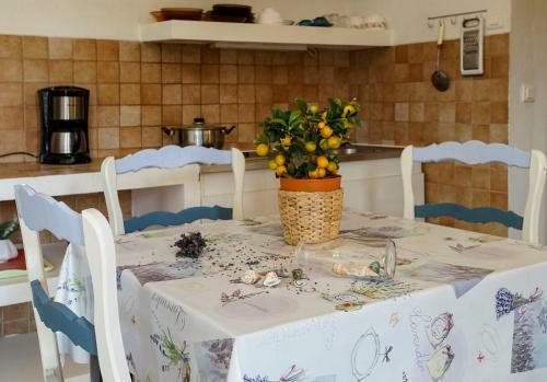 Apartamento R�sidence Les Mandariniers