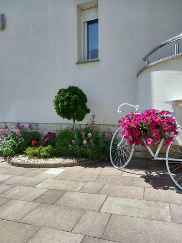 Hostal Garfild 1 Guest House
