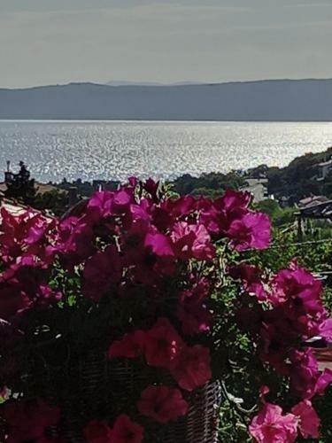 Hostal Garfild 1 Guest House
