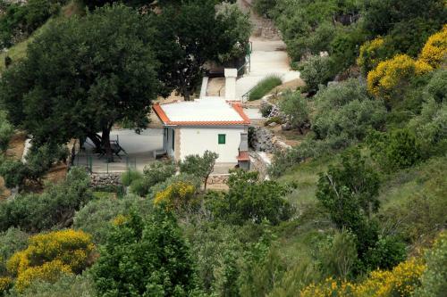 Villa " Davorka"