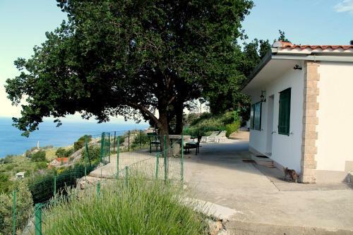Villa " Davorka"