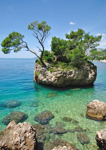 Studio Apartment In Podgora With Terrace, Air Conditioning, Wifi 4492-2
