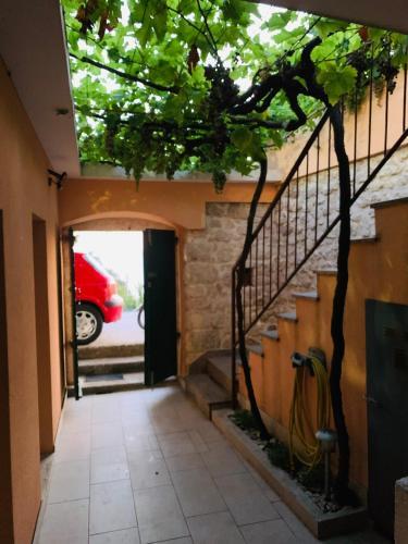 Villa Vicko