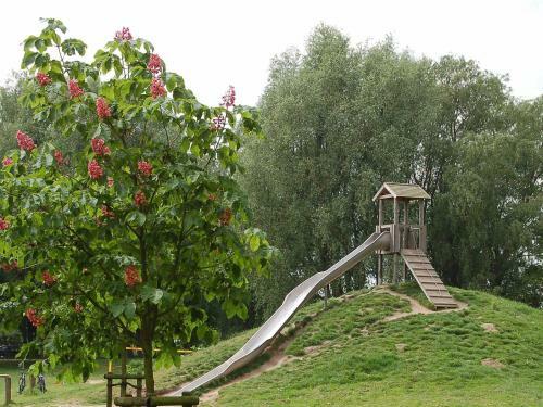Four-bedroom Holiday Home In Otterndorf 9