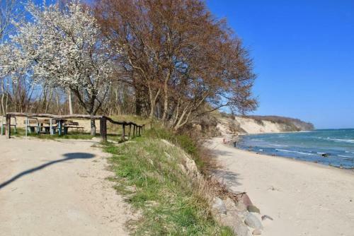 Apartamento Ferienwohnung Walfisch Inkl Strandkorb