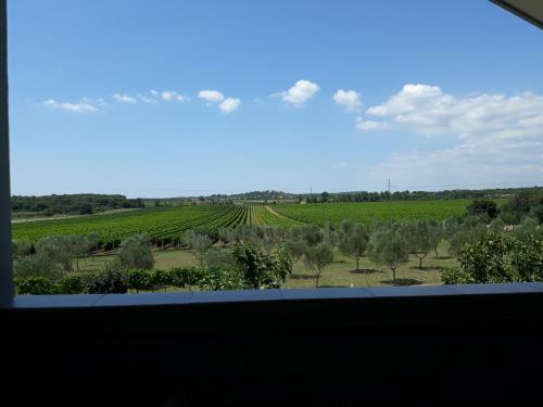 Apartma Solmar
