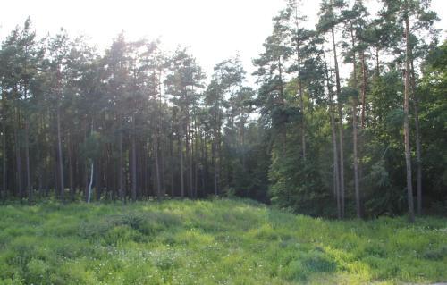 Apartamento Fewo Kwh 4 Og "sonnenst�bchen"