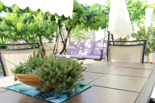 Apartment Apartman Ruza